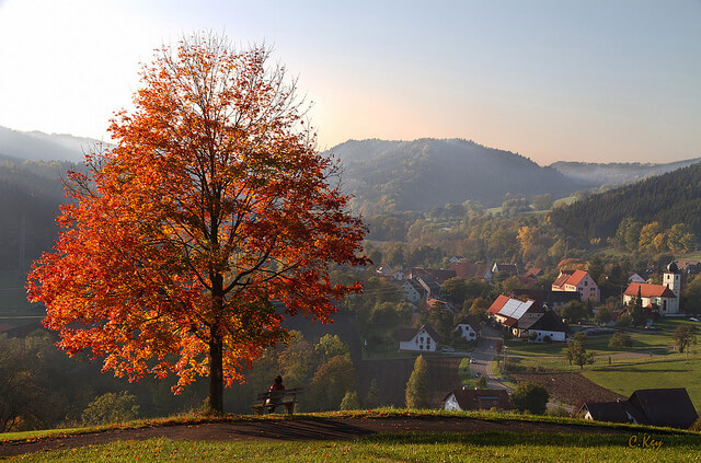 Top Things To Do And See In Black Forest Germany Bavarian Clockworks